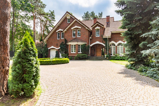 Best Driveway Pavers Near Me  in Braska City, NE