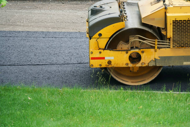 Best Driveway Pavers Near Me  in Braska City, NE